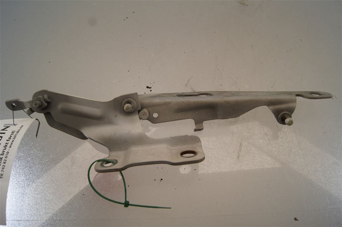 Panser Hengsel / Hengsler – bilde 1