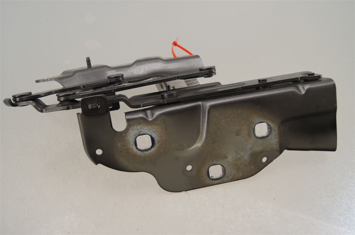 Panser Hengsel / Hengsler – bilde 3