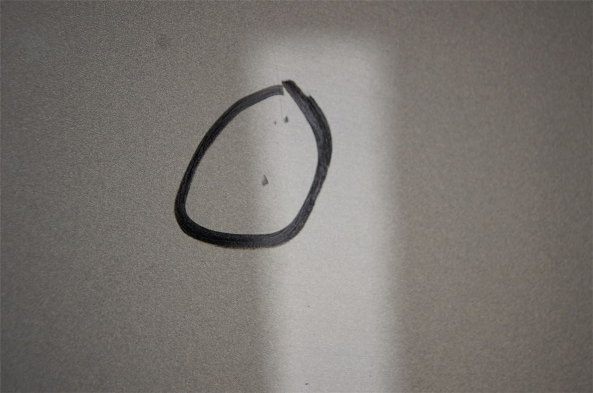 Panser – bilde 3