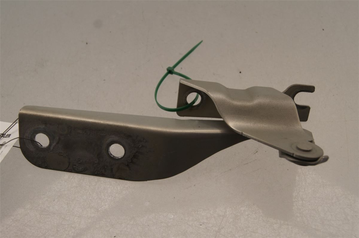 Panser Hengsel / Hengsler – bilde 2