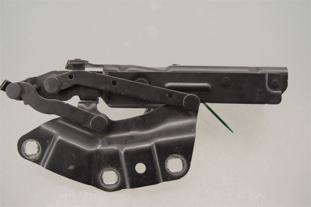 Panser Hengsel / Hengsler – bilde 2