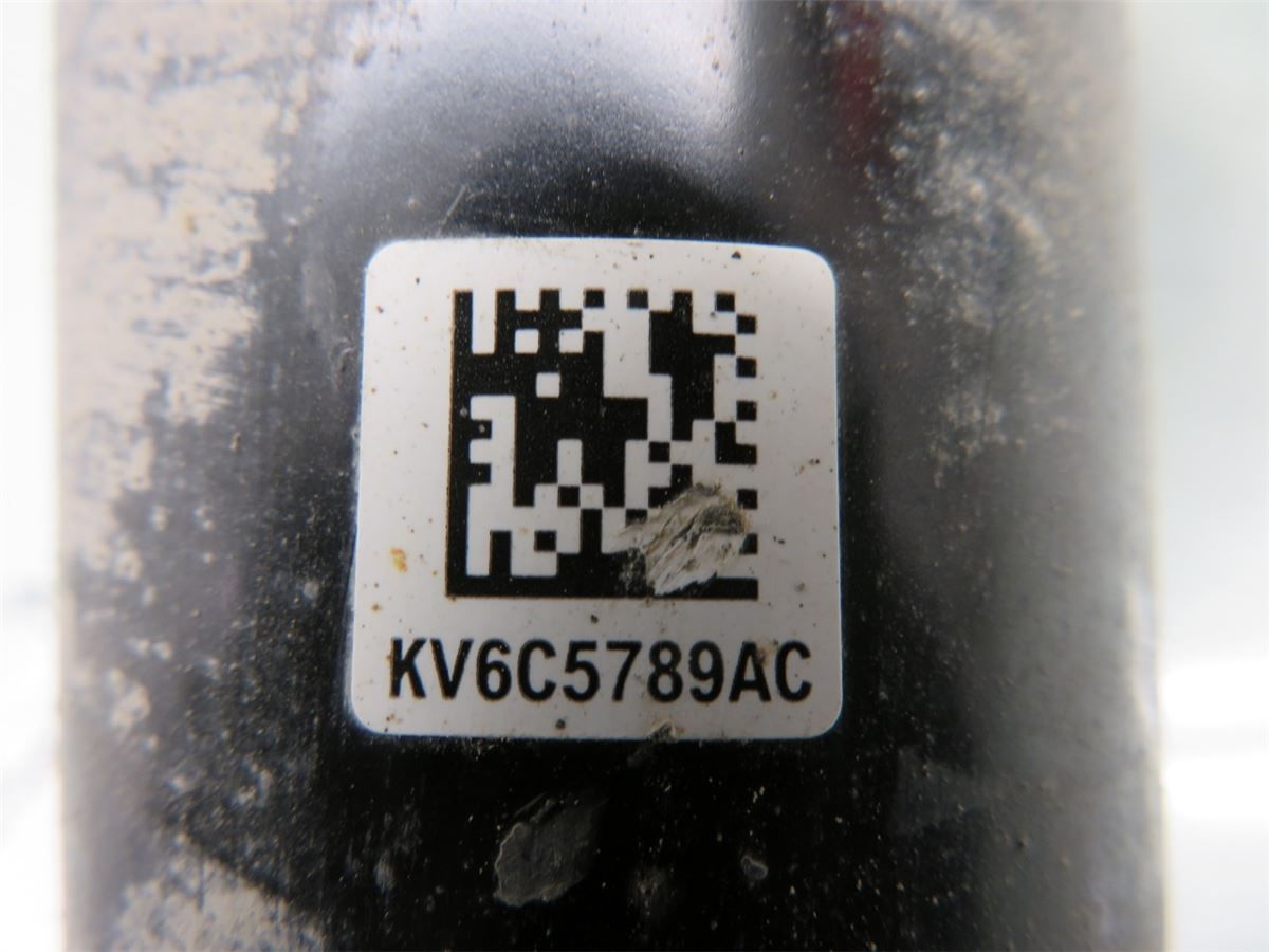 Fjærskål Bak – bilde 3