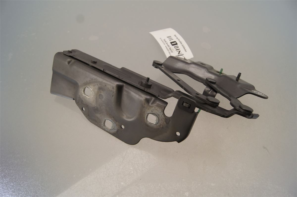 Panser Hengsel / Hengsler – bilde 3