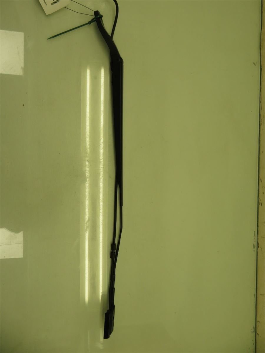 Viskerarm / Armer Frontrute – bilde 1
