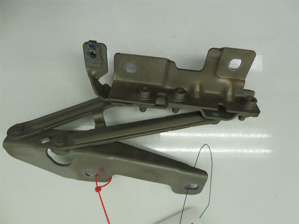 Panser Hengsel / Hengsler – bilde 3