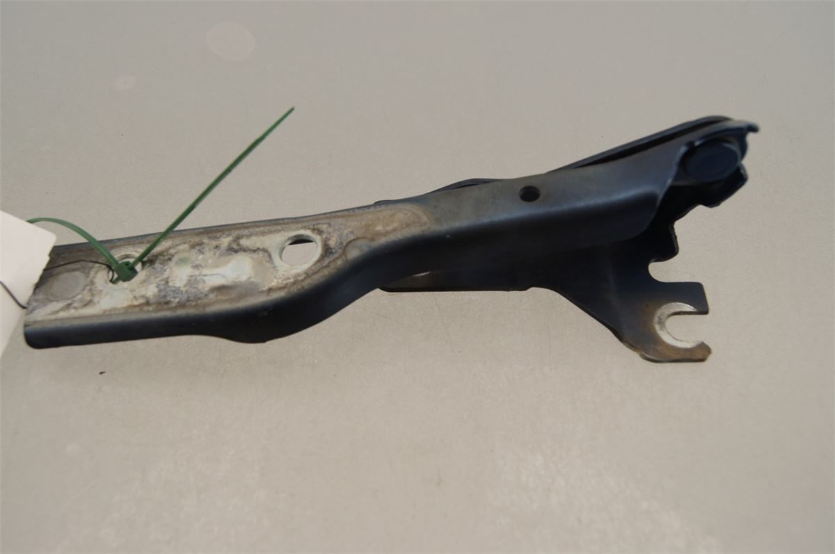 Panser Hengsel / Hengsler – bilde 2