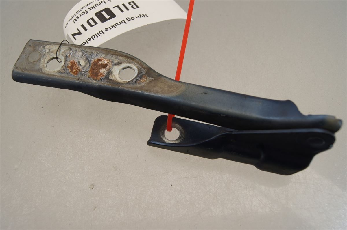 Panser Hengsel / Hengsler – bilde 1