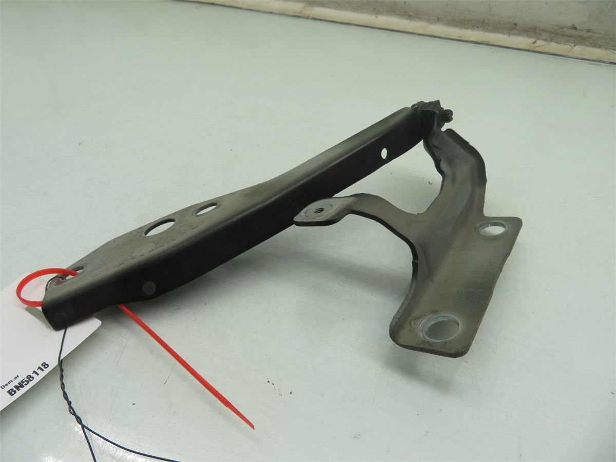 Panser Hengsel / Hengsler – bilde 2