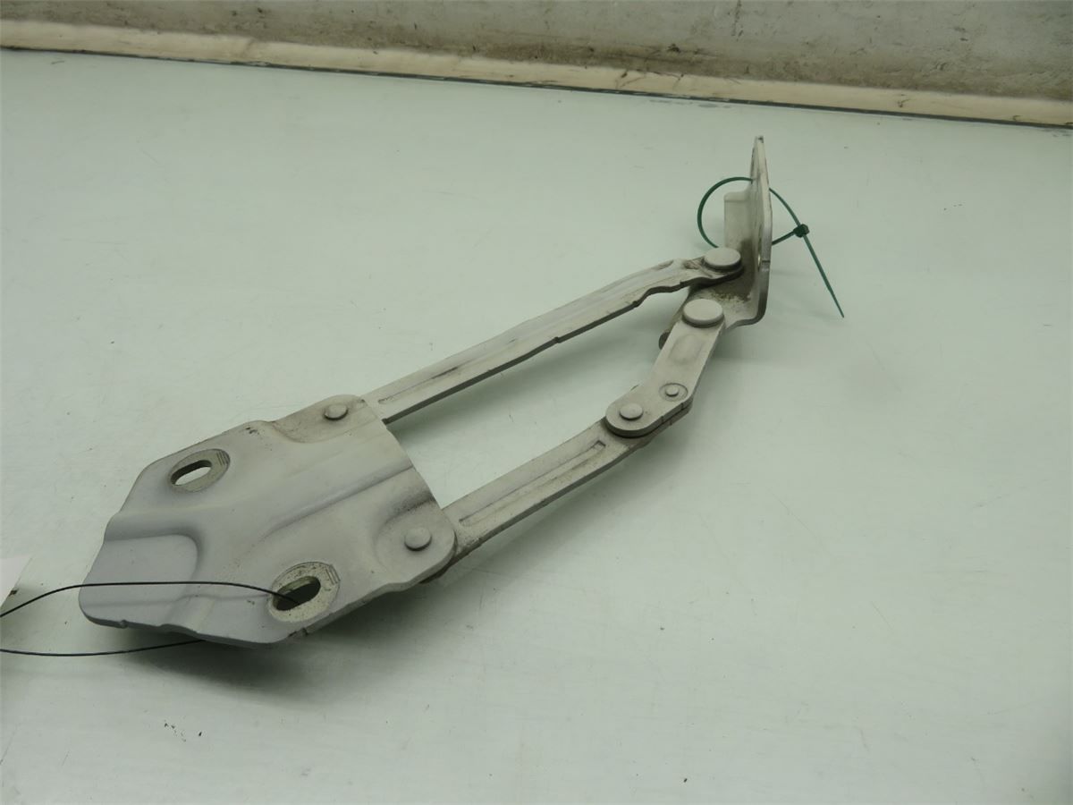 Panser Hengsel / Hengsler – bilde 1
