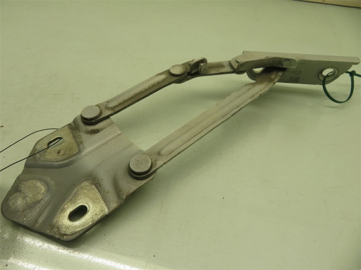 Panser Hengsel / Hengsler – bilde 2