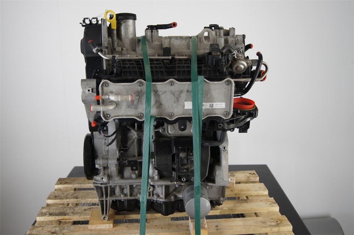 Motor Bensin – bilde 1