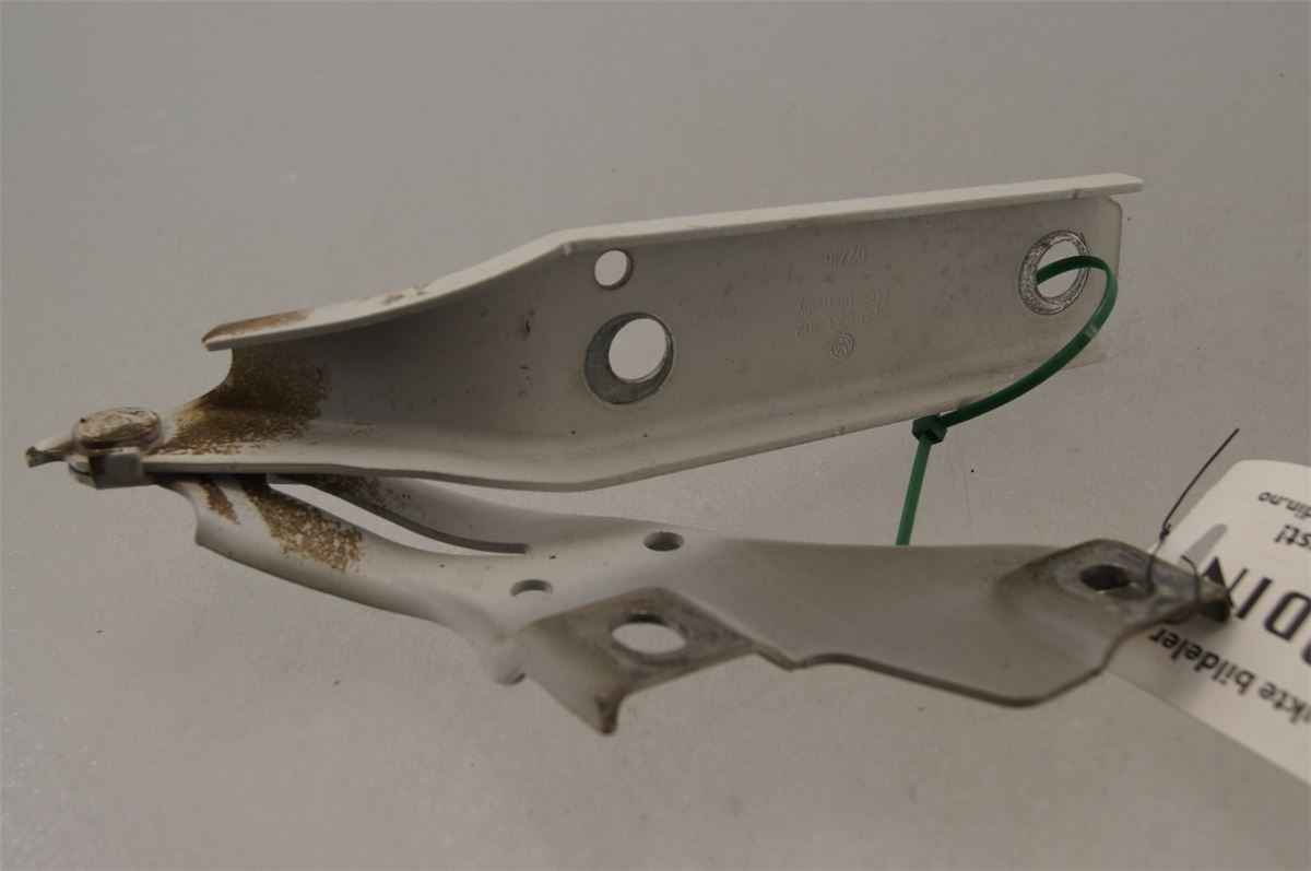 Panser Hengsel / Hengsler – bilde 1