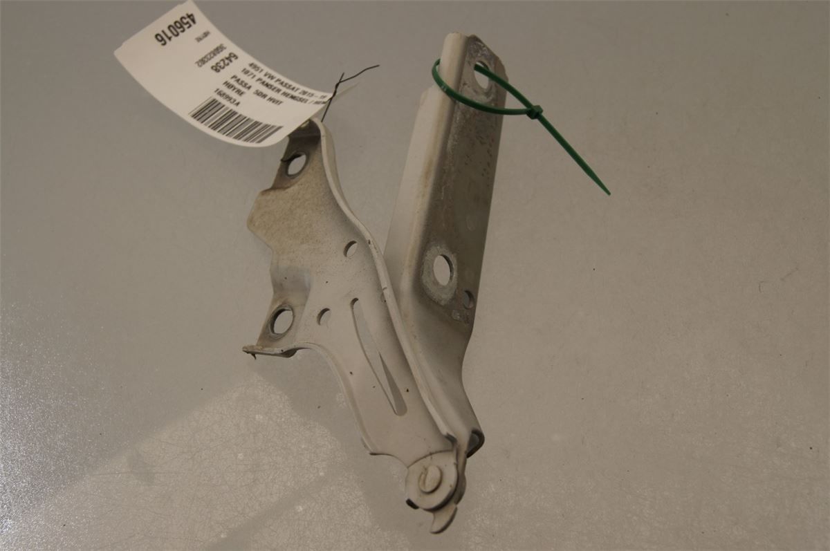 Panser Hengsel / Hengsler – bilde 2