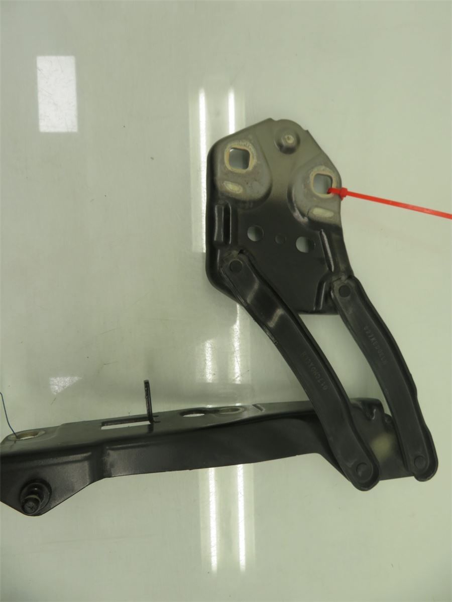 Panser Hengsel / Hengsler – bilde 1