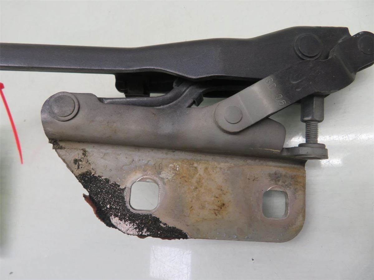 Panser Hengsel / Hengsler – bilde 2
