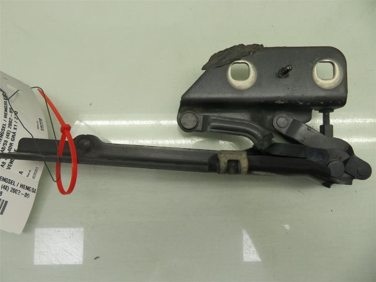 Panser Hengsel / Hengsler – bilde 3