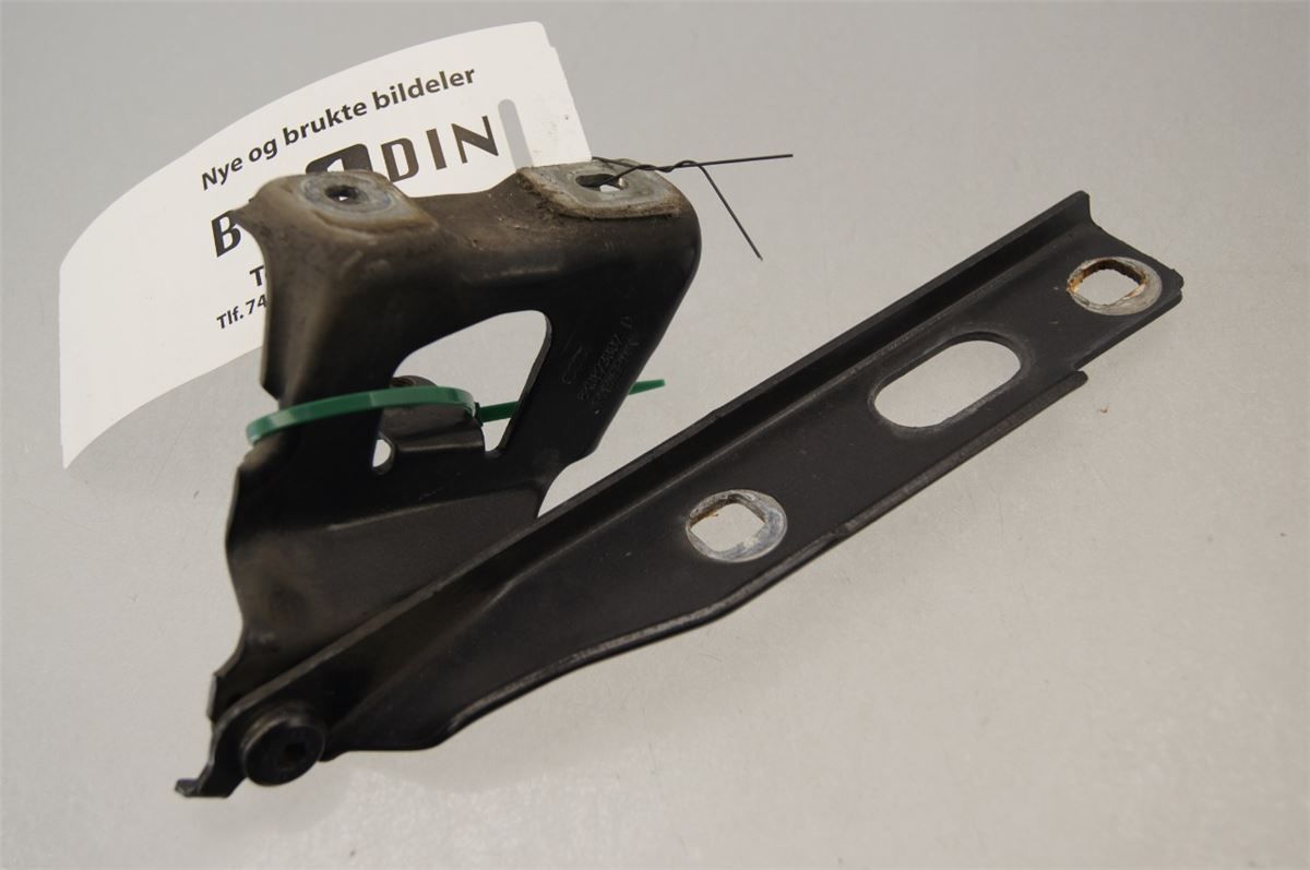 Panser Hengsel / Hengsler – bilde 1