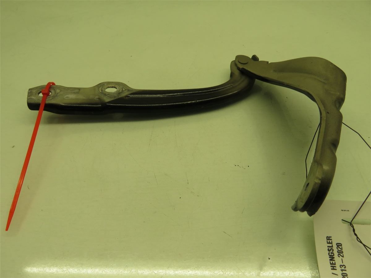 Panser Hengsel / Hengsler – bilde 1