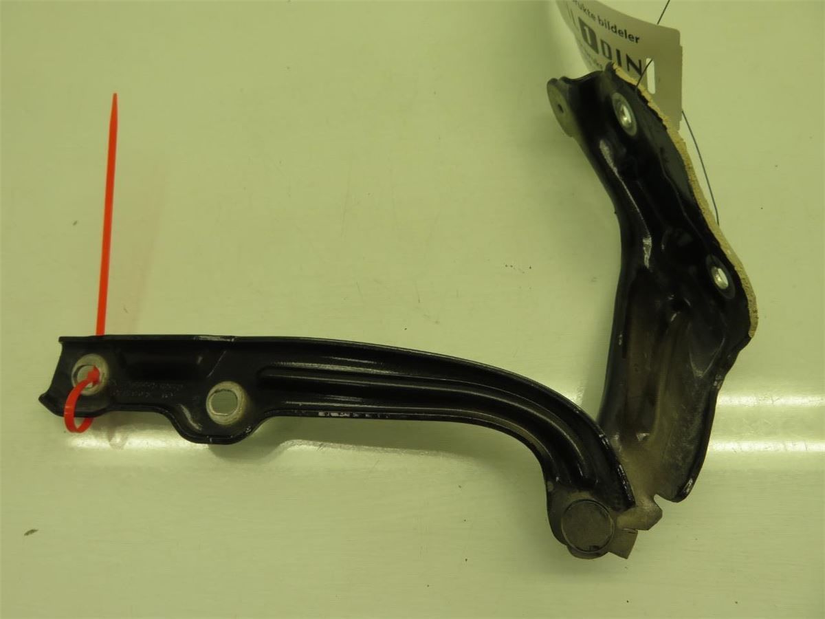 Panser Hengsel / Hengsler – bilde 2