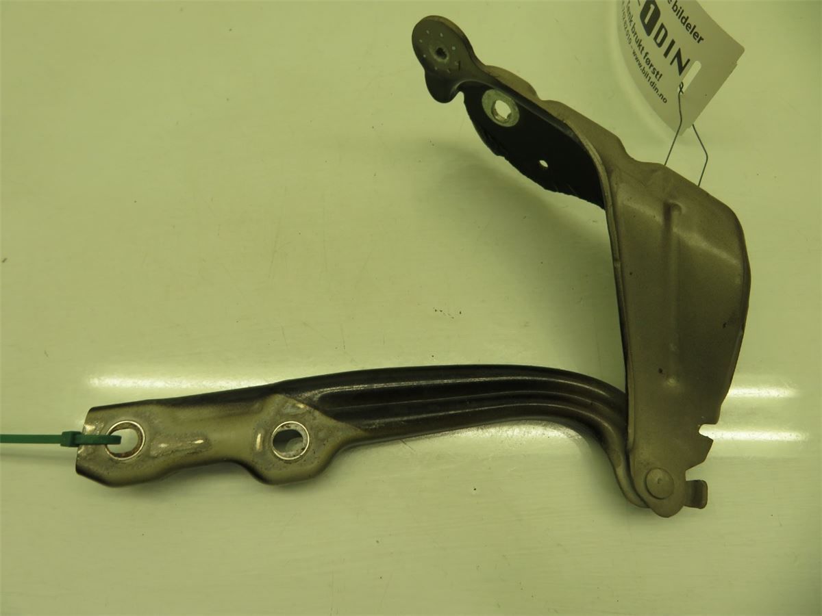 Panser Hengsel / Hengsler – bilde 2