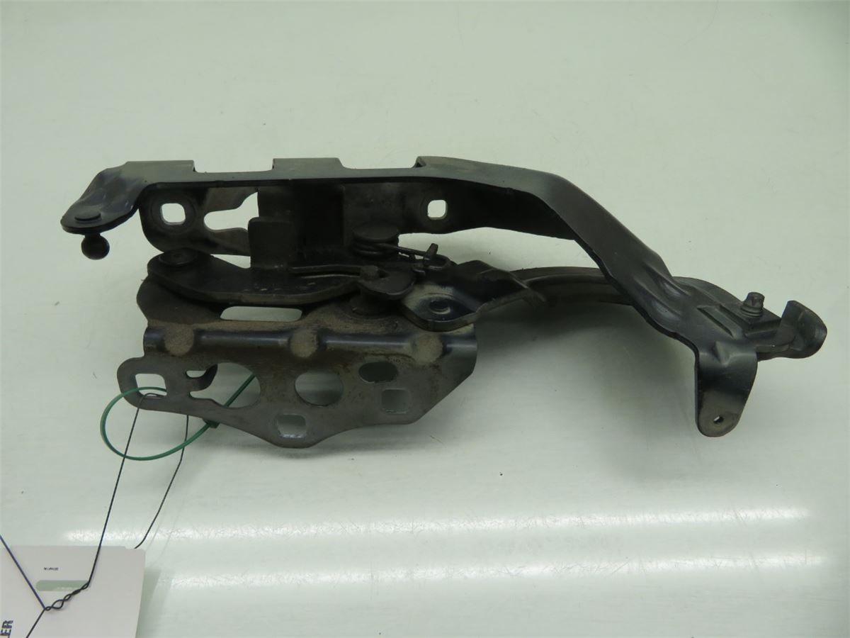 Panser Hengsel / Hengsler – bilde 1