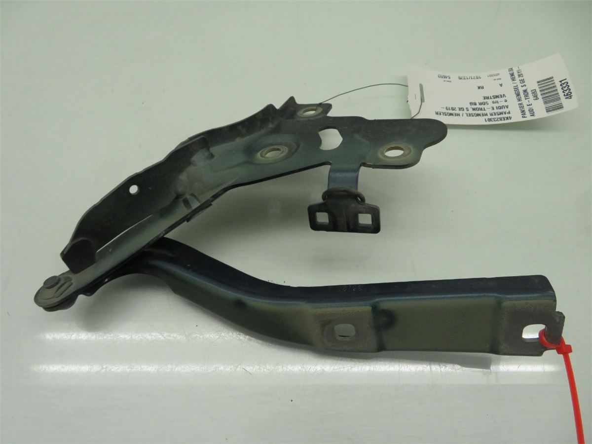 Panser Hengsel / Hengsler – bilde 1