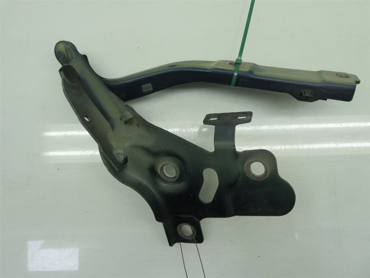 Panser Hengsel / Hengsler – bilde 1