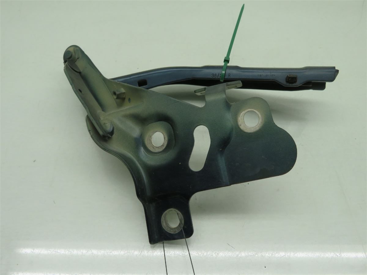 Panser Hengsel / Hengsler – bilde 2
