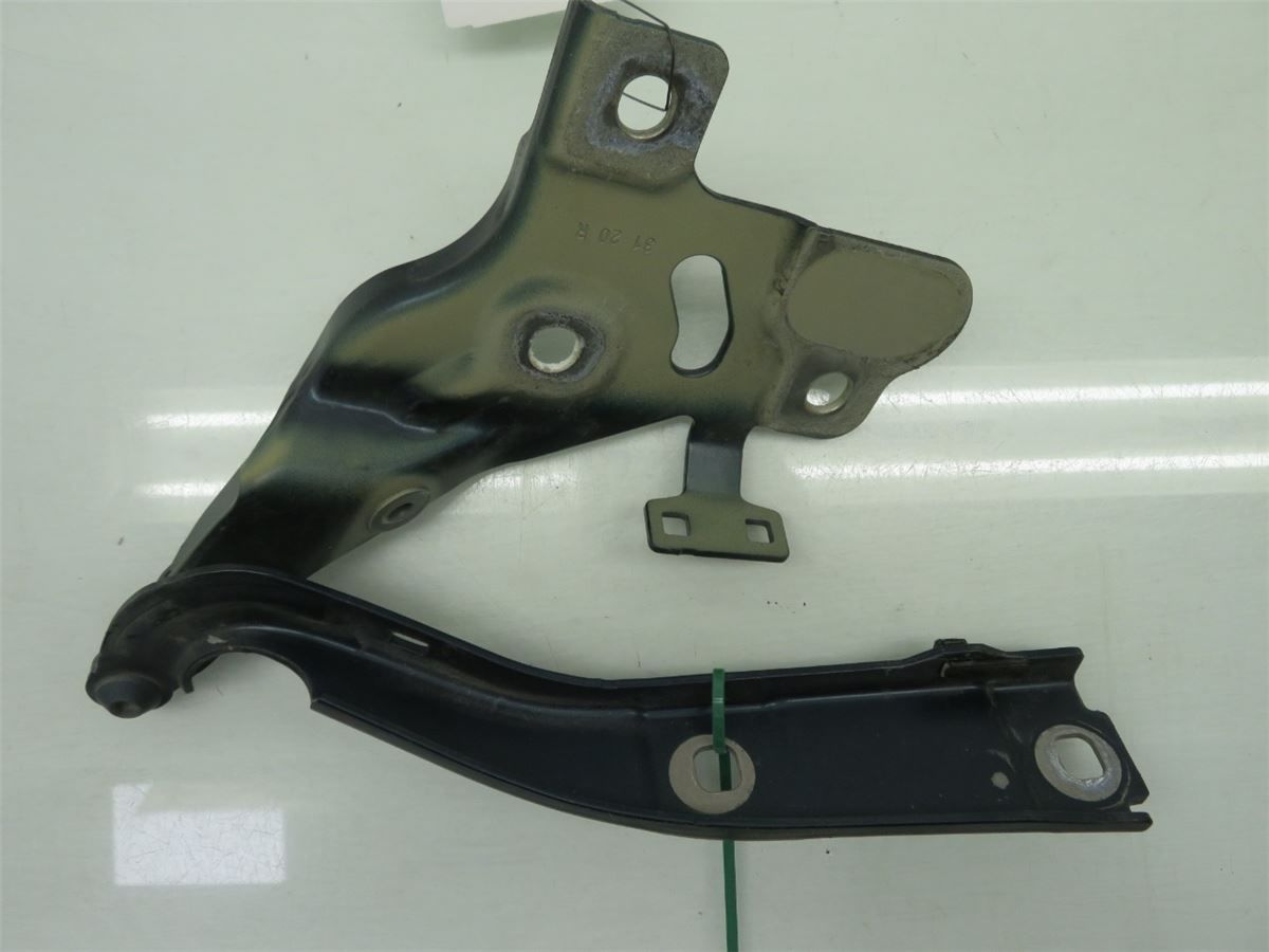 Panser Hengsel / Hengsler – bilde 3