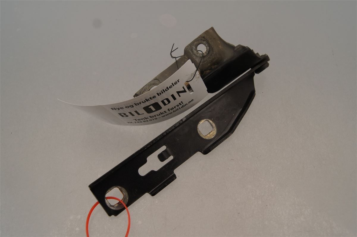 Panser Hengsel / Hengsler – bilde 1