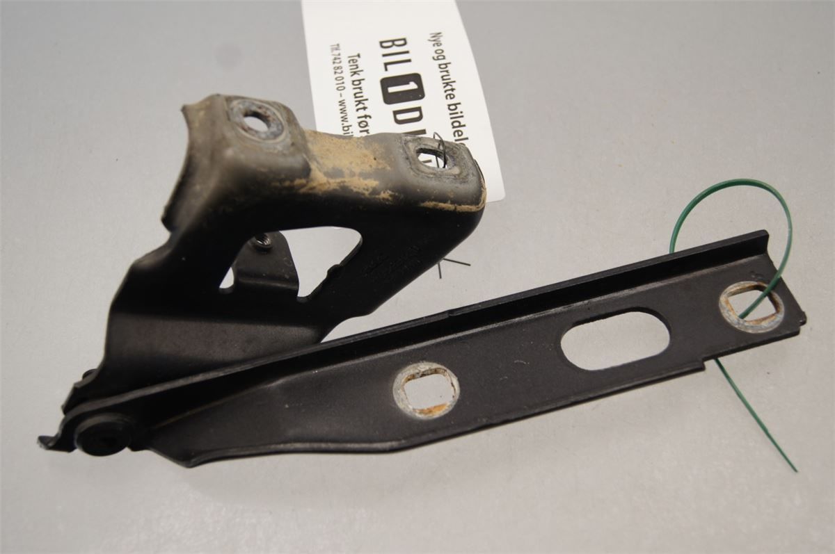 Panser Hengsel / Hengsler – bilde 1