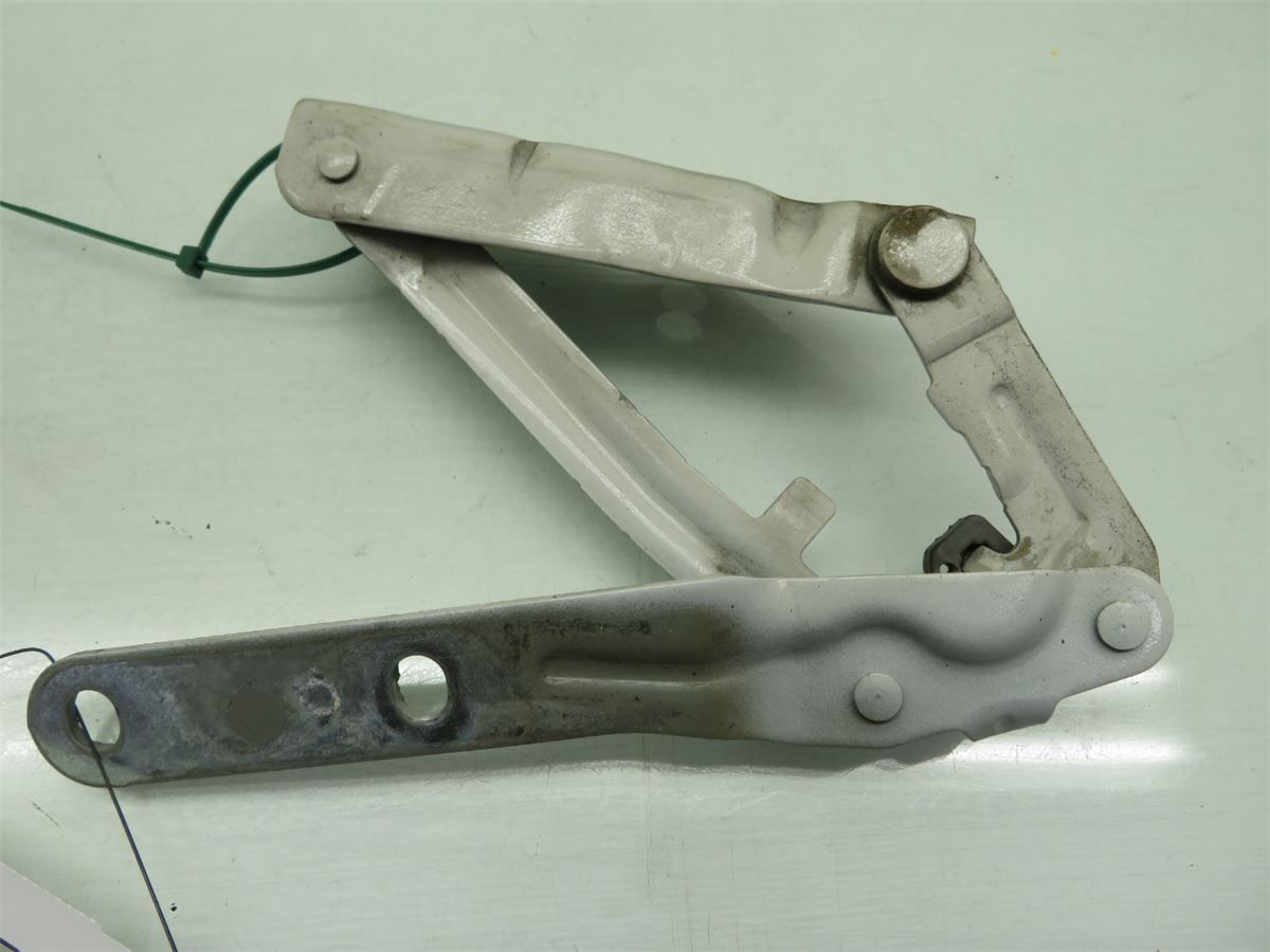 Panser Hengsel / Hengsler – bilde 1
