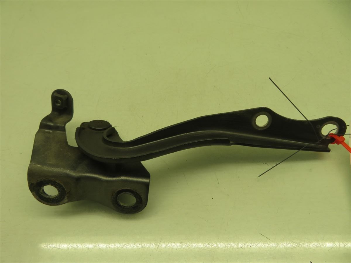 Panser Hengsel / Hengsler – bilde 2