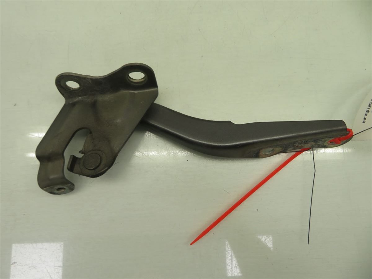 Panser Hengsel / Hengsler – bilde 3