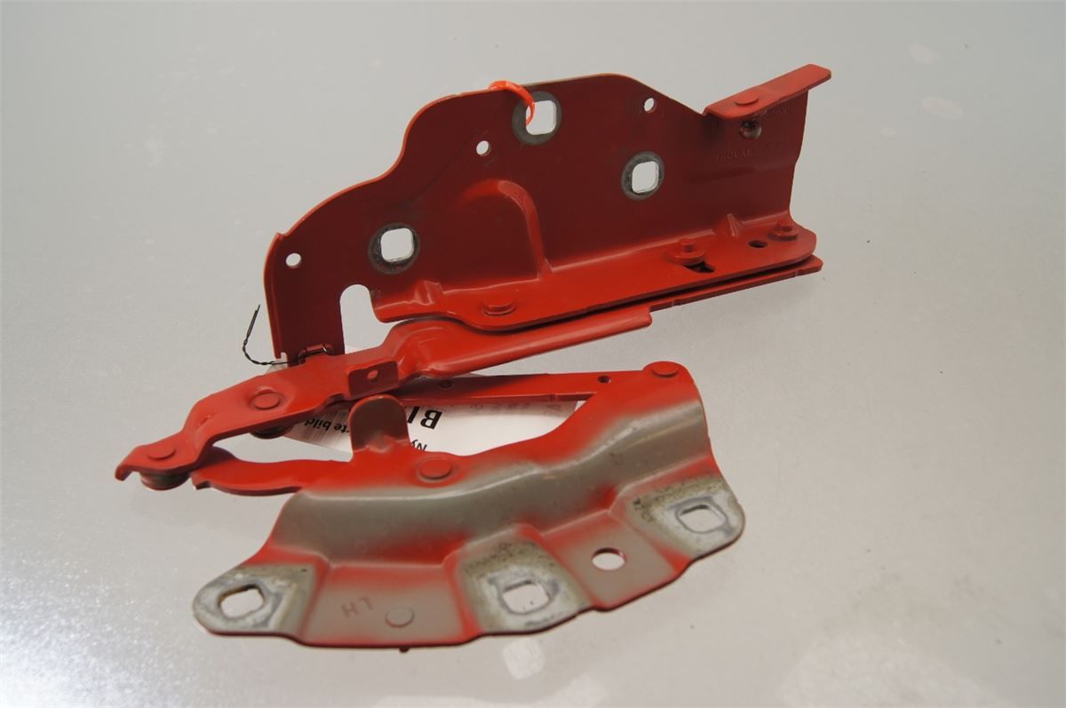Panser Hengsel / Hengsler – bilde 3