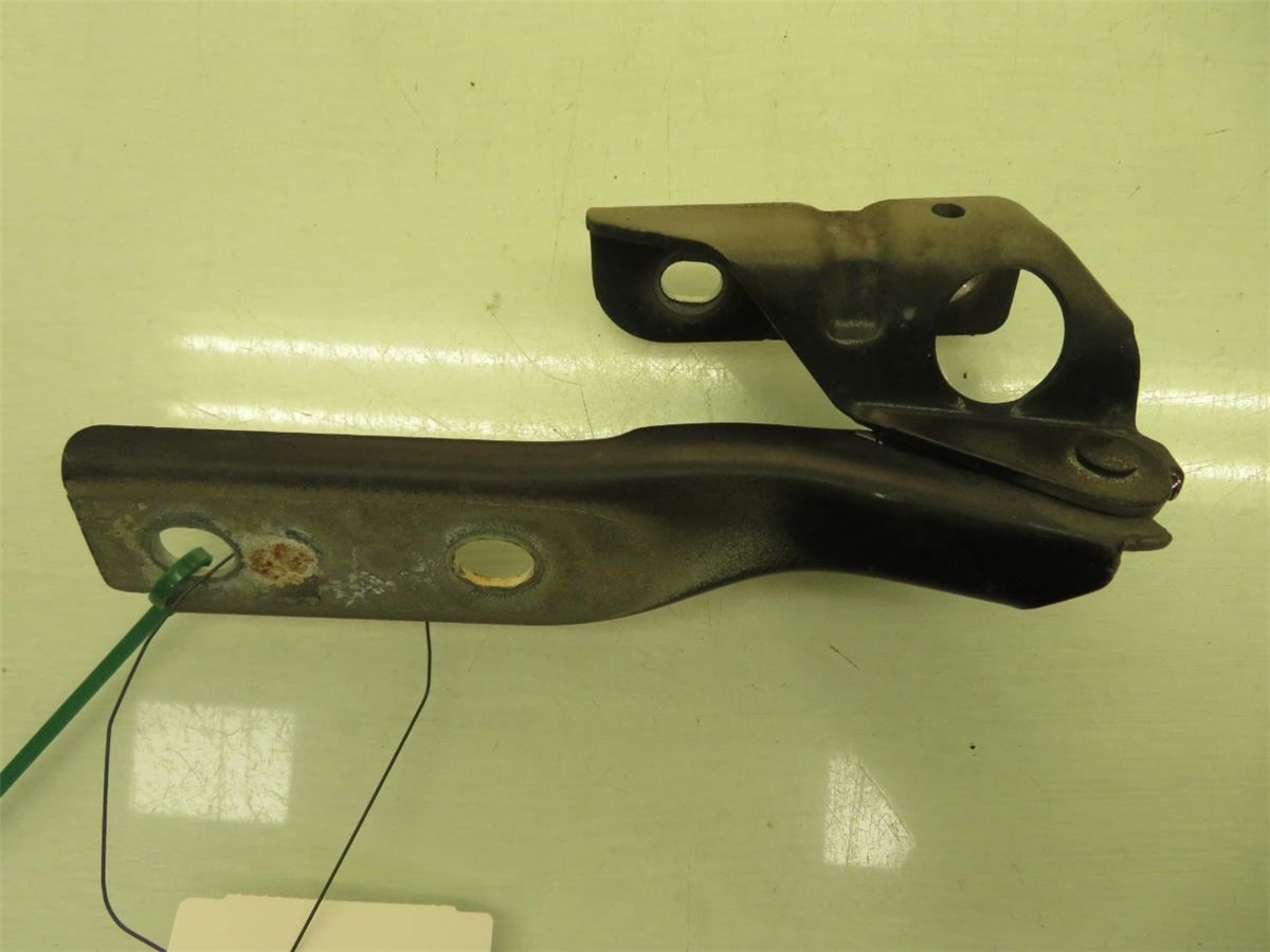 Panser Hengsel / Hengsler – bilde 2