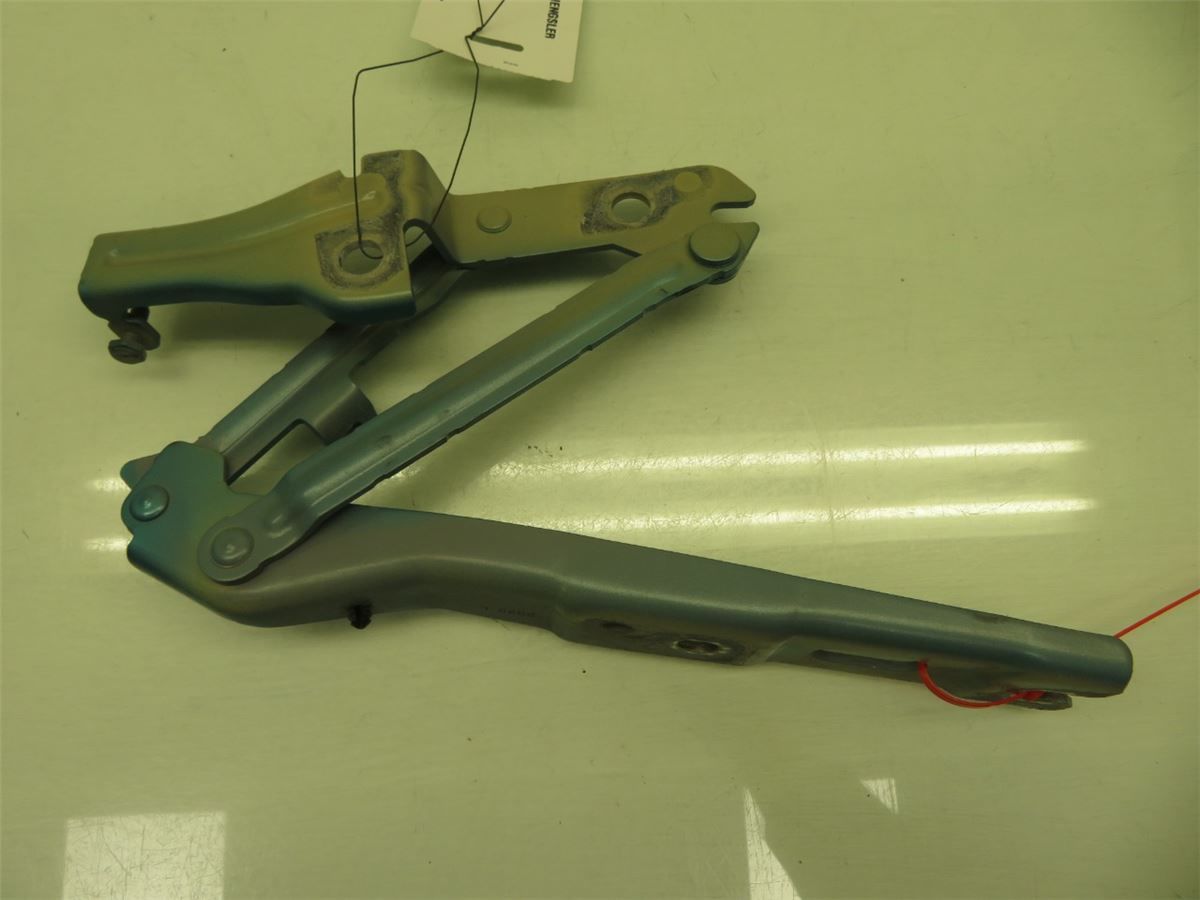 Panser Hengsel / Hengsler – bilde 2