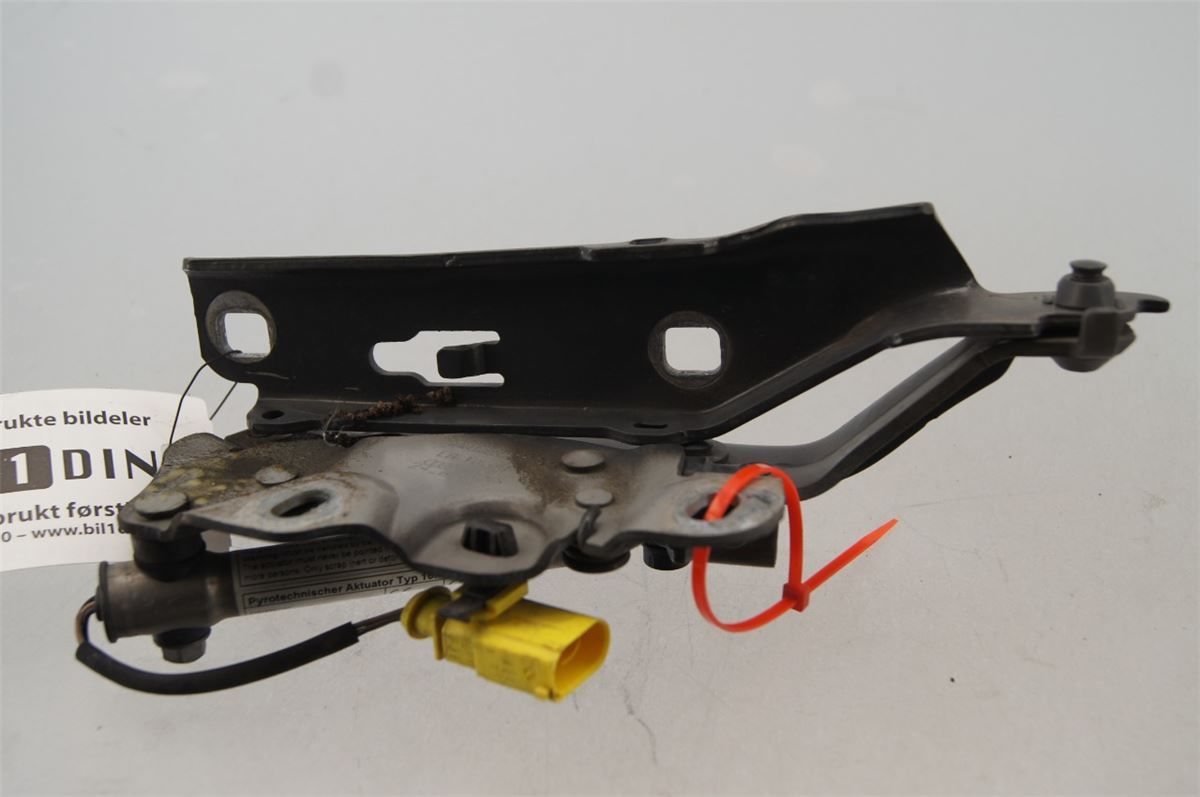 Panser Hengsel / Hengsler – bilde 1