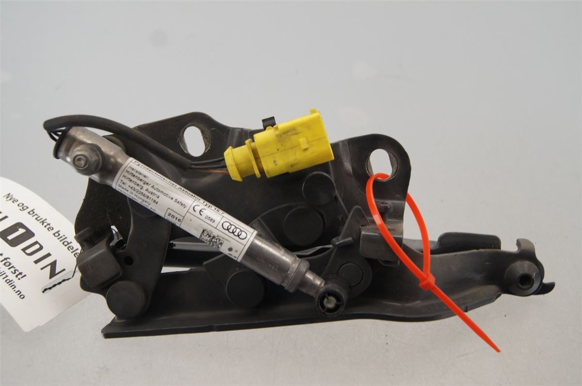 Panser Hengsel / Hengsler – bilde 2