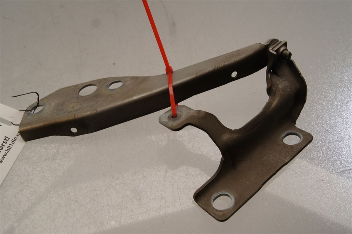 Panser Hengsel / Hengsler – bilde 1