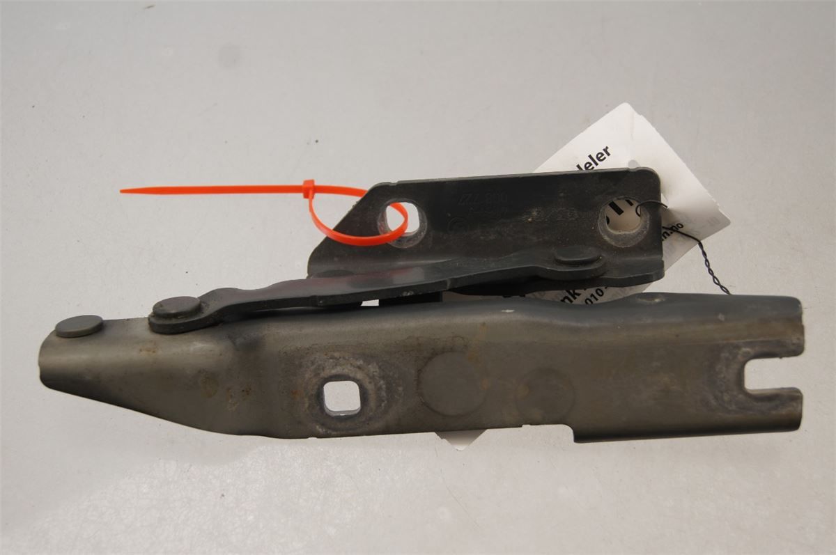 Panser Hengsel / Hengsler – bilde 2