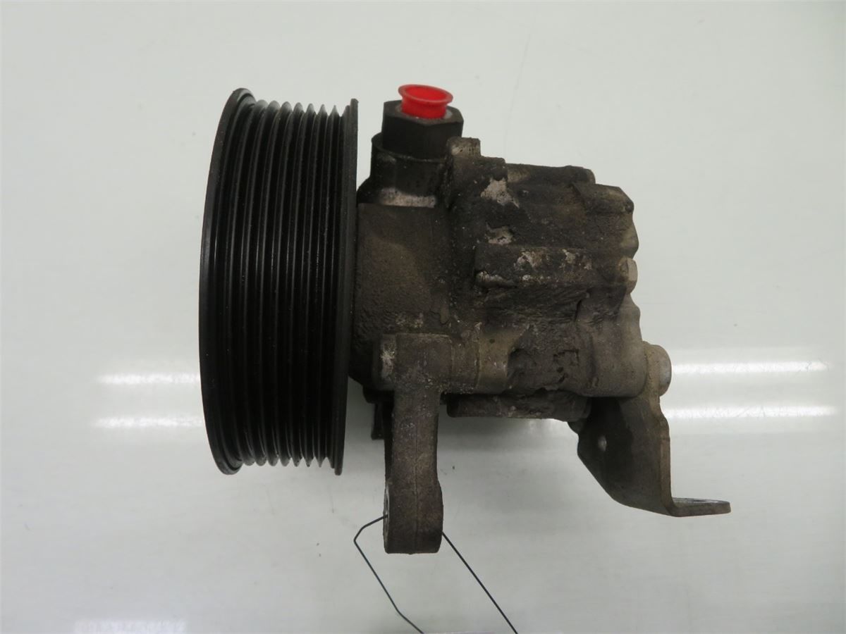 Servo Pumpe – bilde 1