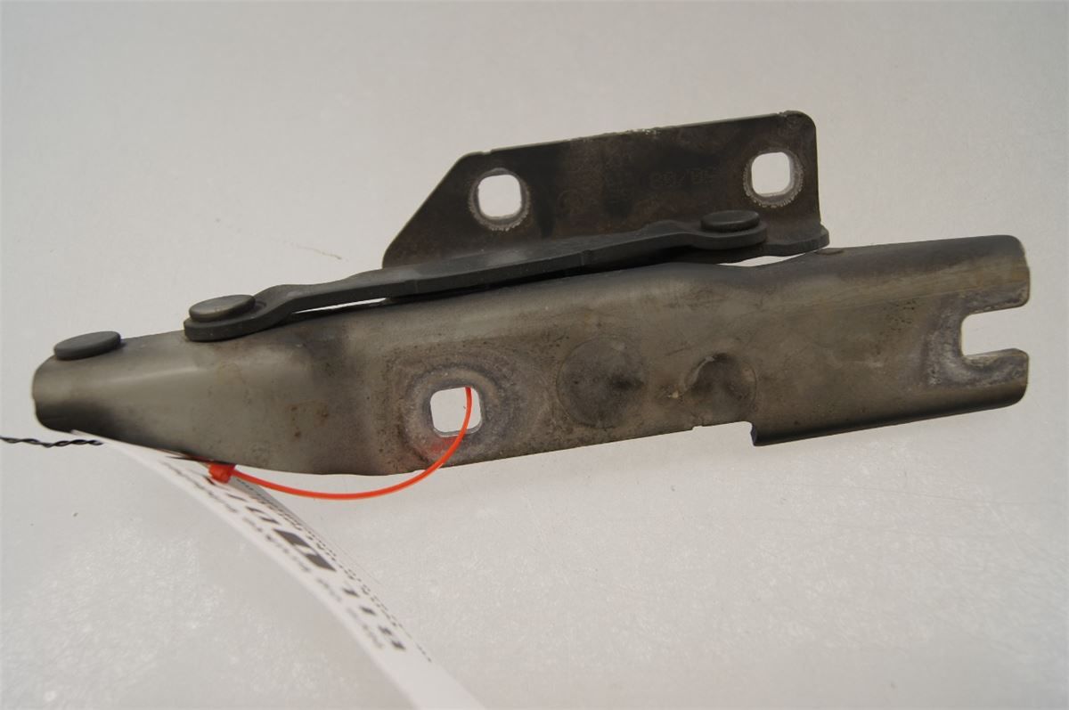 Panser Hengsel / Hengsler – bilde 2