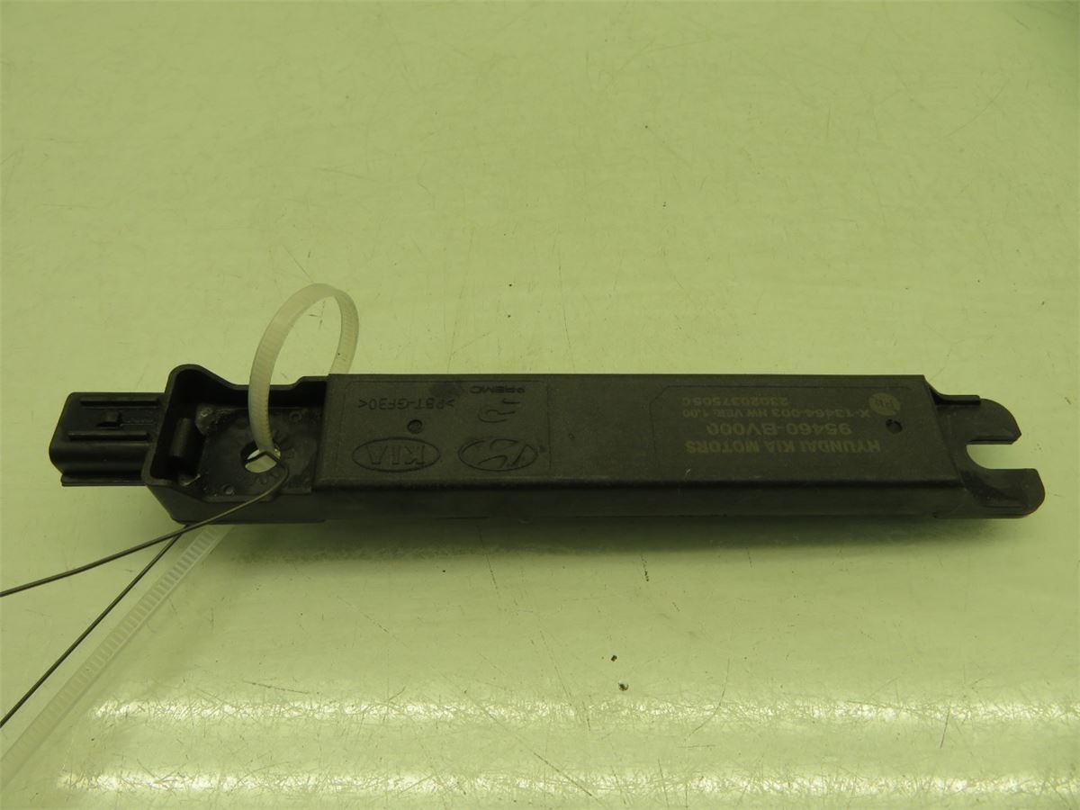 Antenn Elektrisk – bilde 2