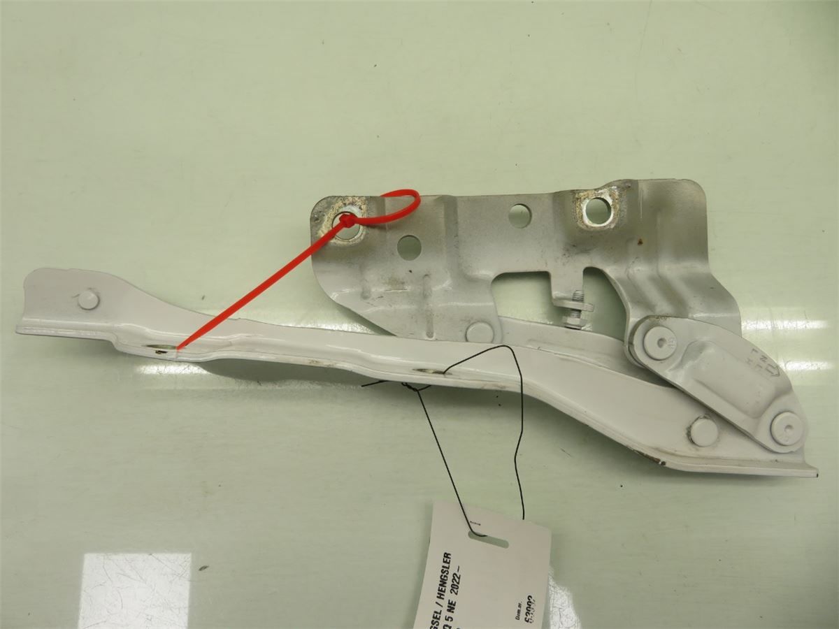 Panser Hengsel / Hengsler – bilde 1