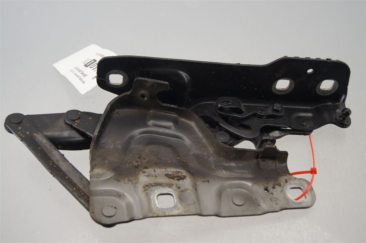 Panser Hengsel / Hengsler – bilde 1