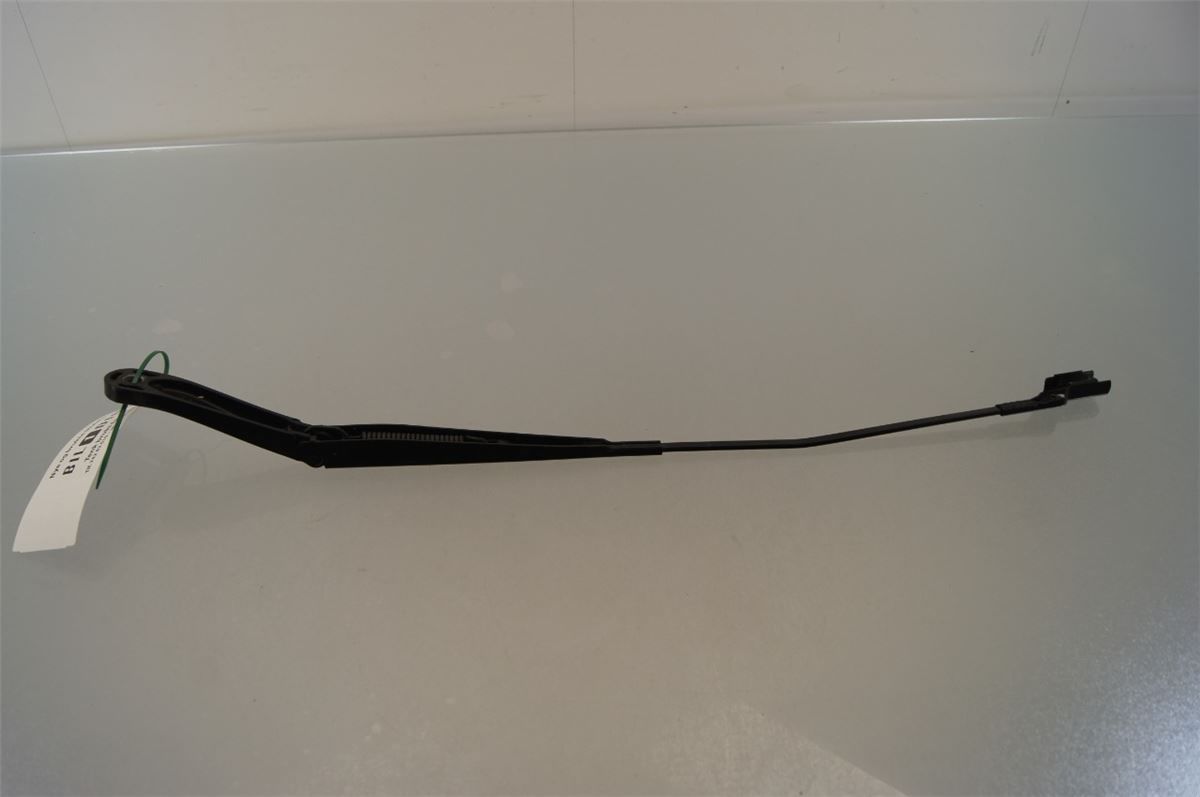 Viskerarm / Armer Frontrute – bilde 1