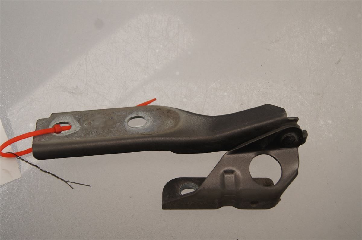 Panser Hengsel / Hengsler – bilde 1