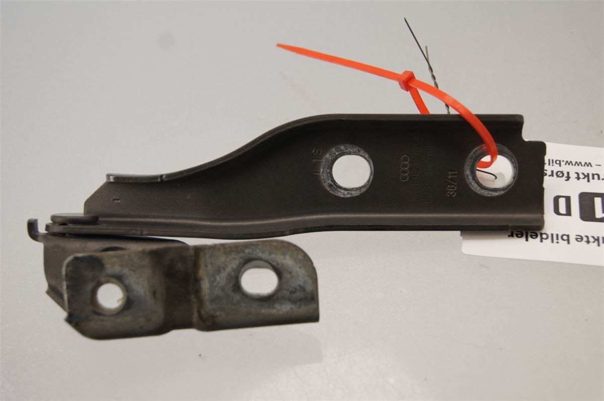 Panser Hengsel / Hengsler – bilde 2