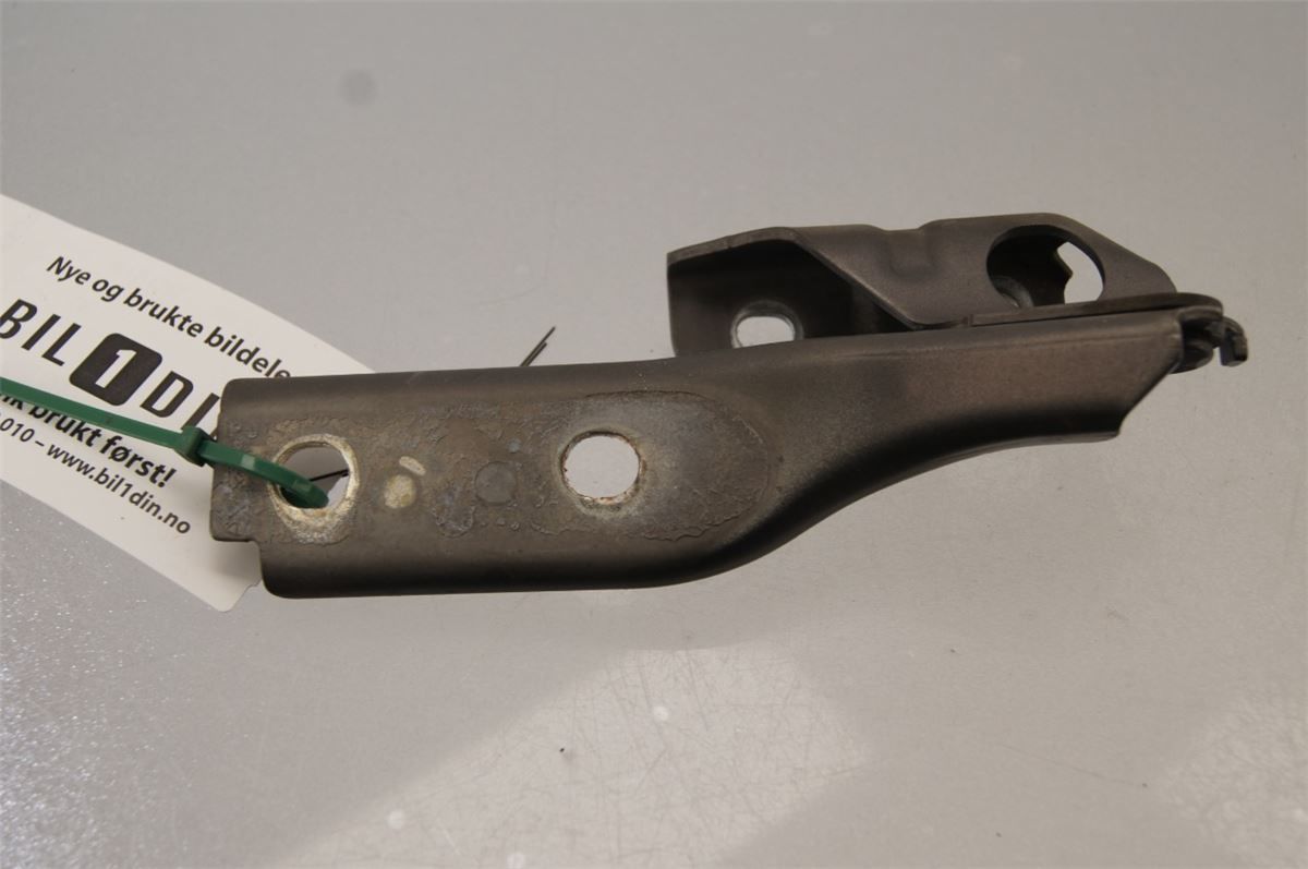Panser Hengsel / Hengsler – bilde 1
